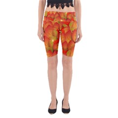 Pattern Texture Leaf Yoga Cropped Leggings