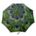 Peacock Feathers Plumage Iridescent Folding Umbrellas View1