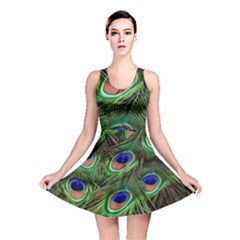 Peacock Feathers Plumage Iridescent Reversible Skater Dress by HermanTelo