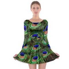 Peacock Feathers Plumage Iridescent Long Sleeve Skater Dress by HermanTelo