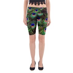 Peacock Feathers Plumage Iridescent Yoga Cropped Leggings