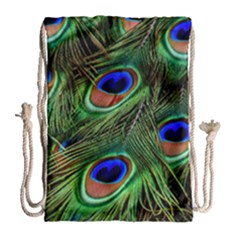 Peacock Feathers Plumage Iridescent Drawstring Bag (large)