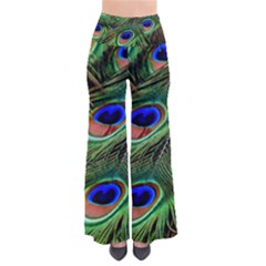 Peacock Feathers Plumage Iridescent So Vintage Palazzo Pants by HermanTelo