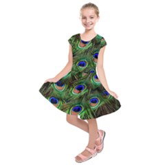 Peacock Feathers Plumage Iridescent Kids  Short Sleeve Dress