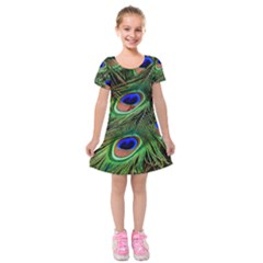 Peacock Feathers Plumage Iridescent Kids  Short Sleeve Velvet Dress