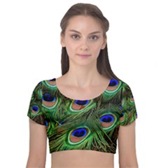 Peacock Feathers Plumage Iridescent Velvet Short Sleeve Crop Top 