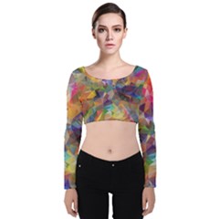 Polygon Wallpaper Velvet Long Sleeve Crop Top by HermanTelo