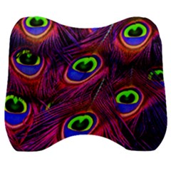 Peacock Feathers Color Plumage Velour Head Support Cushion