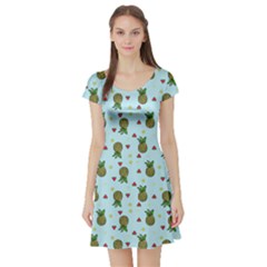 Pineapple Watermelon Fruit Lime Short Sleeve Skater Dress by HermanTelo