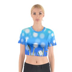 Sea Underwater Life Fish Cotton Crop Top