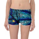 Sea Coral Stained Glass Boyleg Bikini Bottoms View1