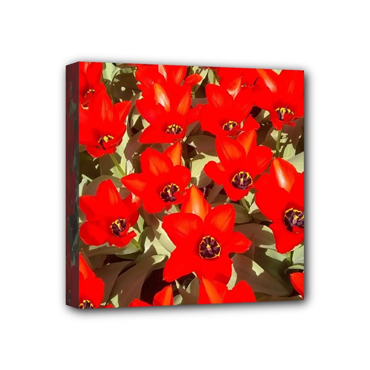 Columbus Commons Red Tulips Mini Canvas 4  x 4  (Stretched)