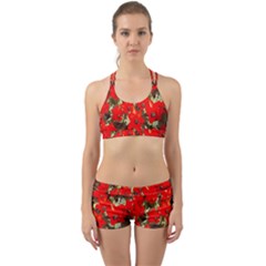 Columbus Commons Red Tulips Back Web Gym Set by Riverwoman