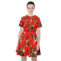 Columbus Commons Red Tulips Sailor Dress by Riverwoman