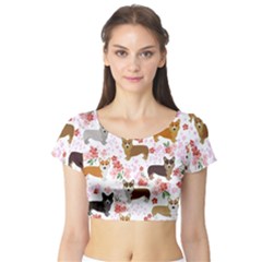 Corgis Corgi Pattern Short Sleeve Crop Top by Sapixe