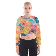 Texture Triangle Cropped Sweatshirt