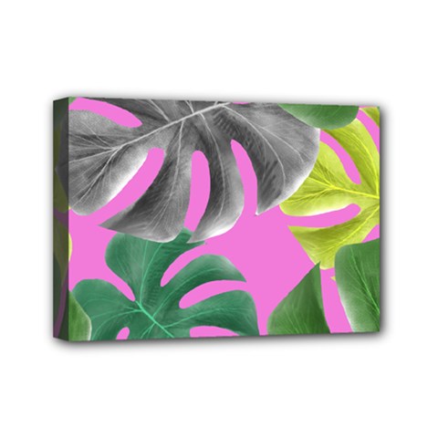 Tropical Greens Pink Leaf Mini Canvas 7  X 5  (stretched)