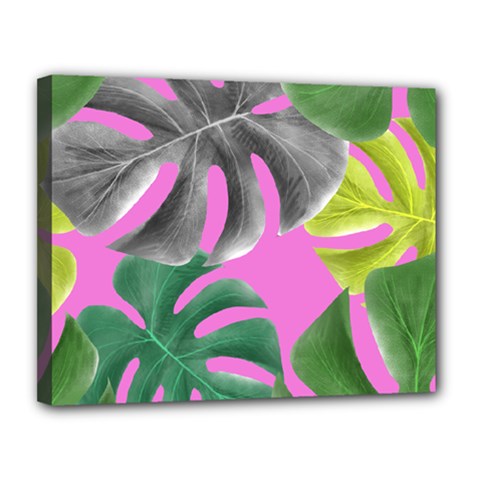 Tropical Greens Pink Leaf Canvas 14  X 11  (stretched)