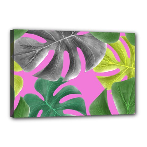 Tropical Greens Pink Leaf Canvas 18  X 12  (stretched)