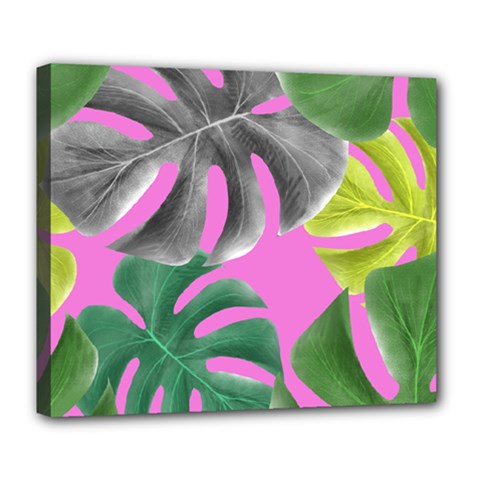 Tropical Greens Pink Leaf Deluxe Canvas 24  X 20  (stretched)