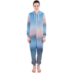 Wave Background Hooded Jumpsuit (ladies) 