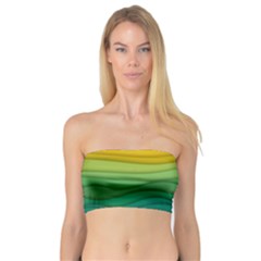 Waves Texture Bandeau Top