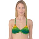 Waves Texture Reversible Tri Bikini Top View1