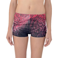 Abstract Background Wallpaper Boyleg Bikini Bottoms by Bajindul