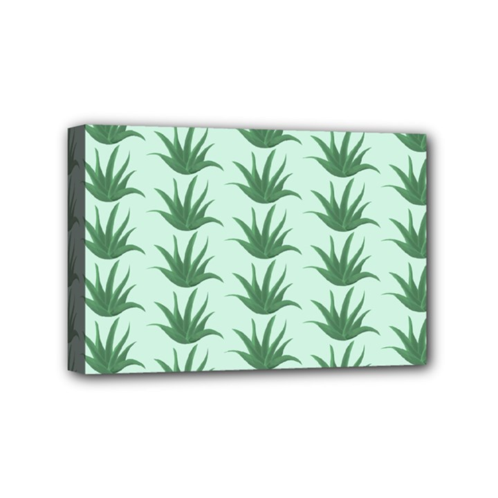 Aloe Plants Pattern Scrapbook Mini Canvas 6  x 4  (Stretched)