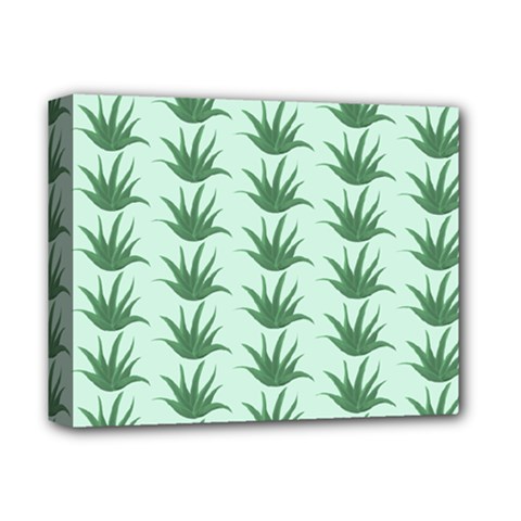 Aloe Plants Pattern Scrapbook Deluxe Canvas 14  X 11  (stretched) by Bajindul