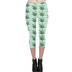 Aloe Plants Pattern Scrapbook Capri Leggings  by Bajindul