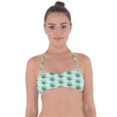 Aloe Plants Pattern Scrapbook Halter Bandeau Bikini Top by Bajindul