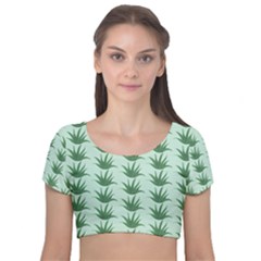 Aloe Plants Pattern Scrapbook Velvet Short Sleeve Crop Top  by Bajindul