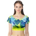 Heart Emotions Love Blue Short Sleeve Crop Top View1