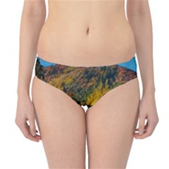 Outdoor Landscape Scenic View Hipster Bikini Bottoms by Pakrebo