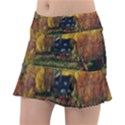 Outdoor Landscape Scenic View Tennis Skirt View1