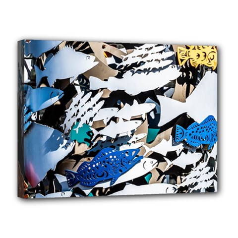 Art Fish Salmon Sydney Metal Canvas 16  X 12  (stretched) by Pakrebo