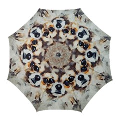 Chihuahua Dog Cute Pets Small Golf Umbrellas by Pakrebo