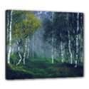 Birch Forest Nature Landscape Canvas 24  x 20  (Stretched) View1