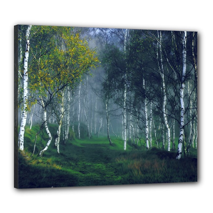 Birch Forest Nature Landscape Canvas 24  x 20  (Stretched)