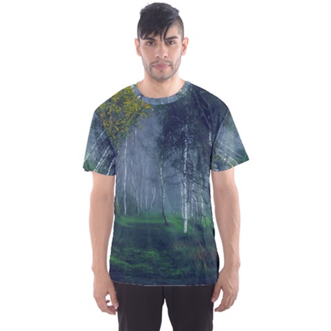 Birch Forest Nature Landscape Men s Sports Mesh Tee by Pakrebo