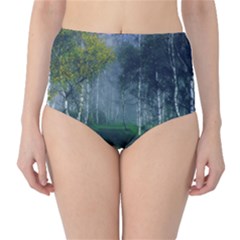 Birch Forest Nature Landscape Classic High-waist Bikini Bottoms by Pakrebo