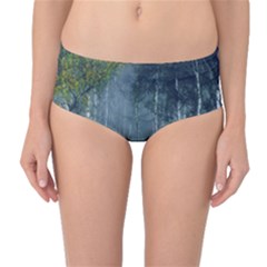 Birch Forest Nature Landscape Mid-waist Bikini Bottoms by Pakrebo