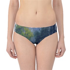 Birch Forest Nature Landscape Hipster Bikini Bottoms by Pakrebo