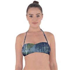 Birch Forest Nature Landscape Halter Bandeau Bikini Top by Pakrebo