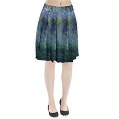 Birch Forest Nature Landscape Pleated Skirt by Pakrebo