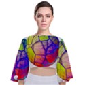 Isolated Transparent Sphere Tie Back Butterfly Sleeve Chiffon Top View1