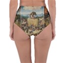 Heronimus Bosch The Haywagon Reversible High-Waist Bikini Bottoms View4