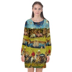 Hieronymus Bosch The Garden Of Earthly Delights (closeup) Long Sleeve Chiffon Shift Dress  by impacteesstreetwearthree