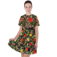 Tulips In April Short Sleeve Shoulder Cut Out Dress 